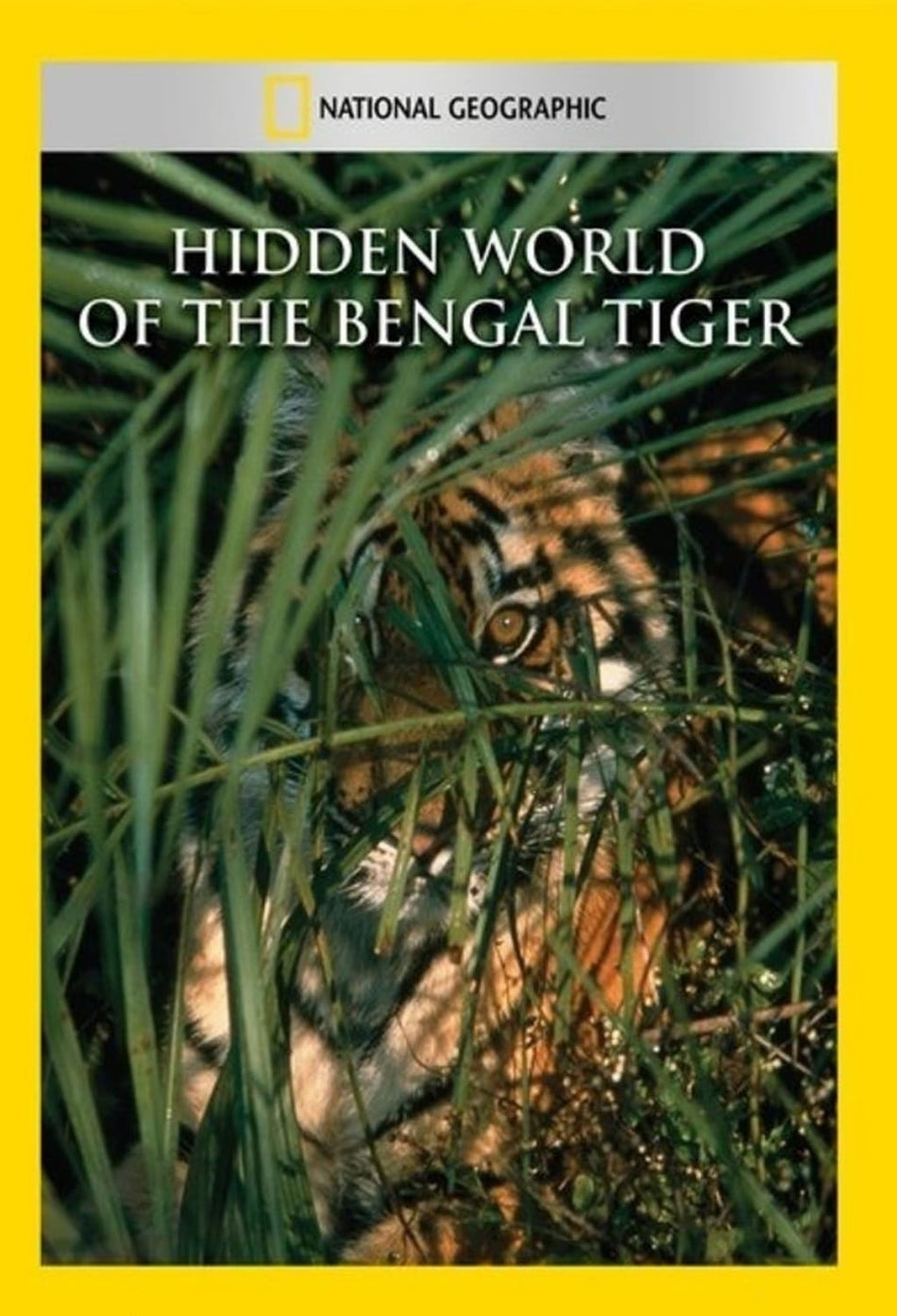 Hidden World of the Bengal Tiger - (NTSC Format) - [DVD]