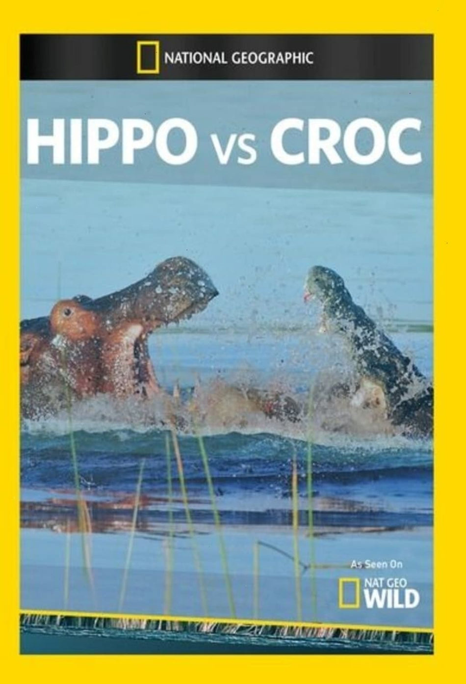Hippo Vs. Croc - (NTSC Format) - [DVD]