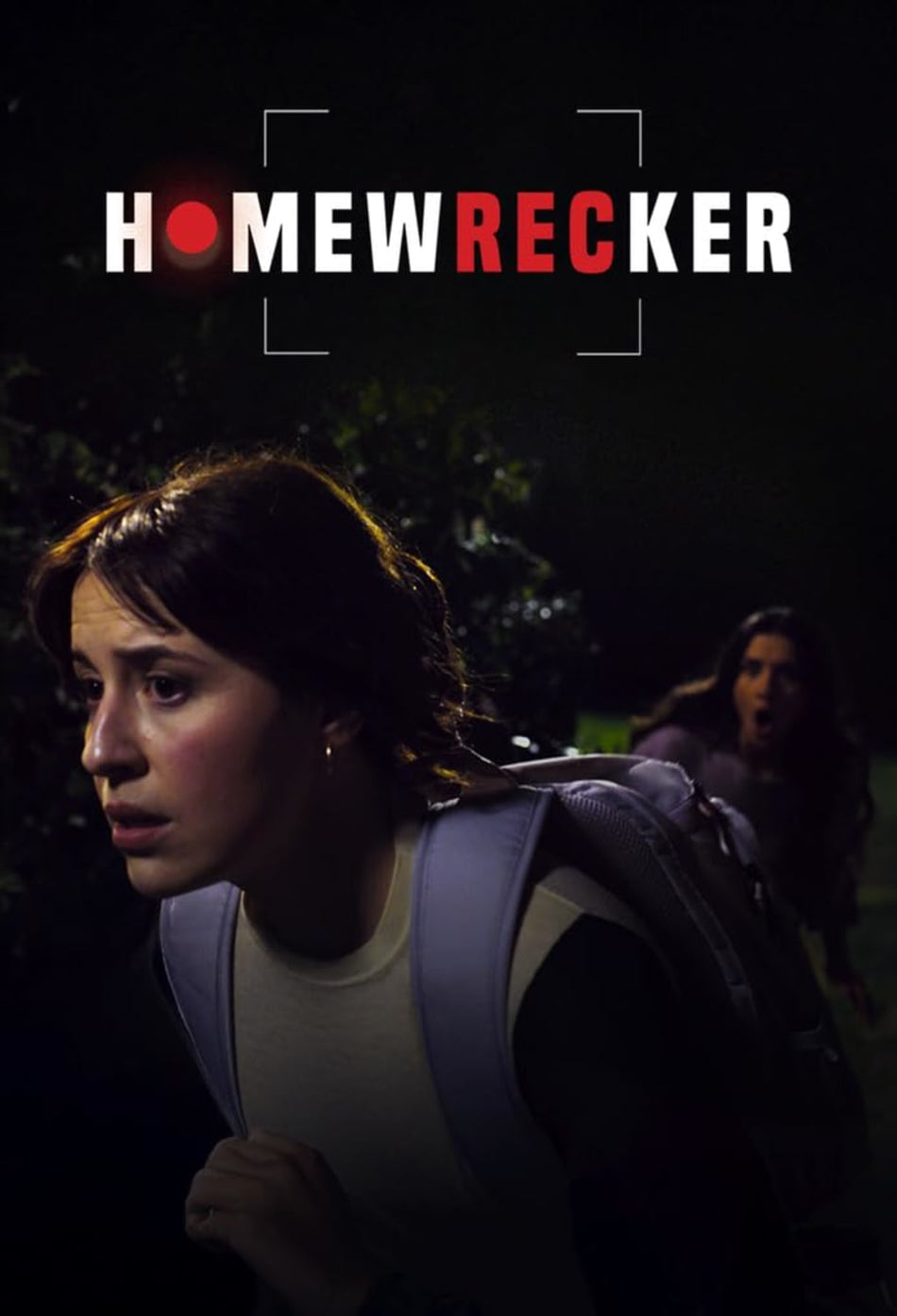 Homewrecker - [DVD]