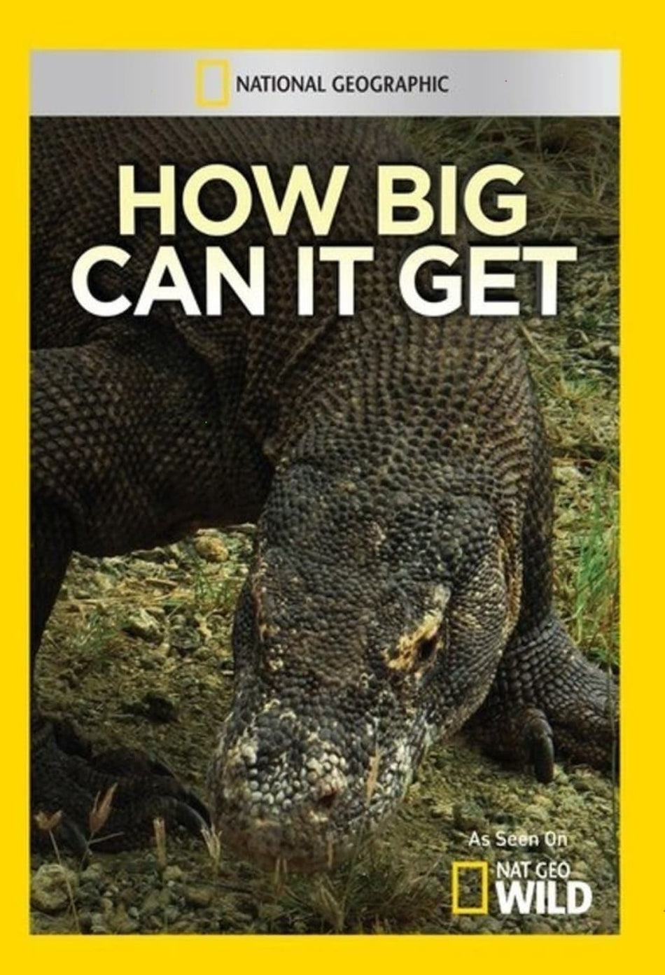 How Big Can It Get - (NTSC Format) - [DVD]