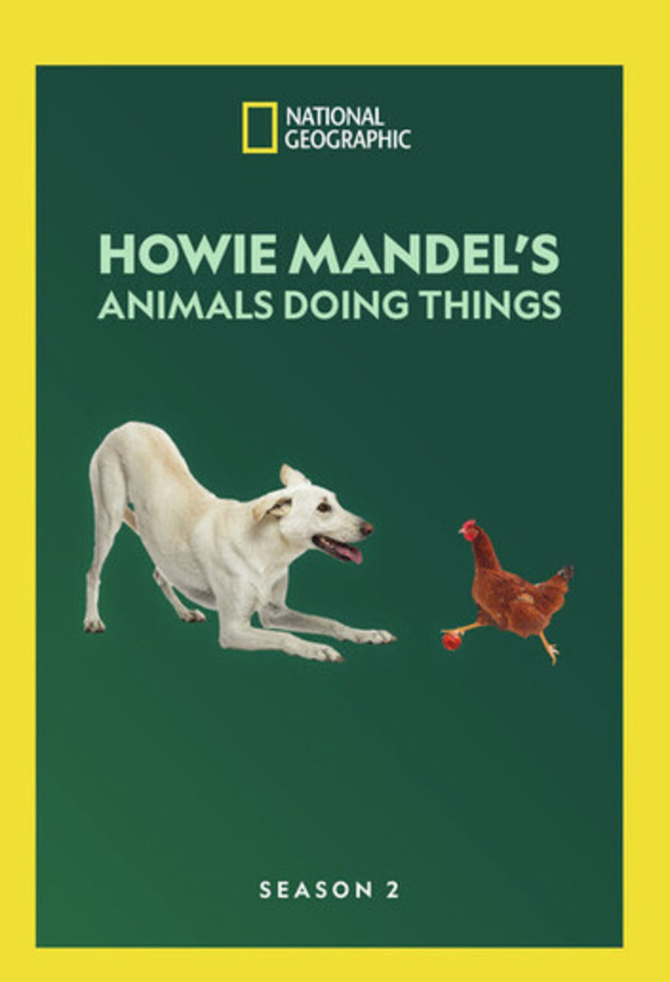 Howie Mandel's Animals Doing Things: Season 2 - (Widescreen, Dolby, AC-3, 2 Pack) - [DVD]