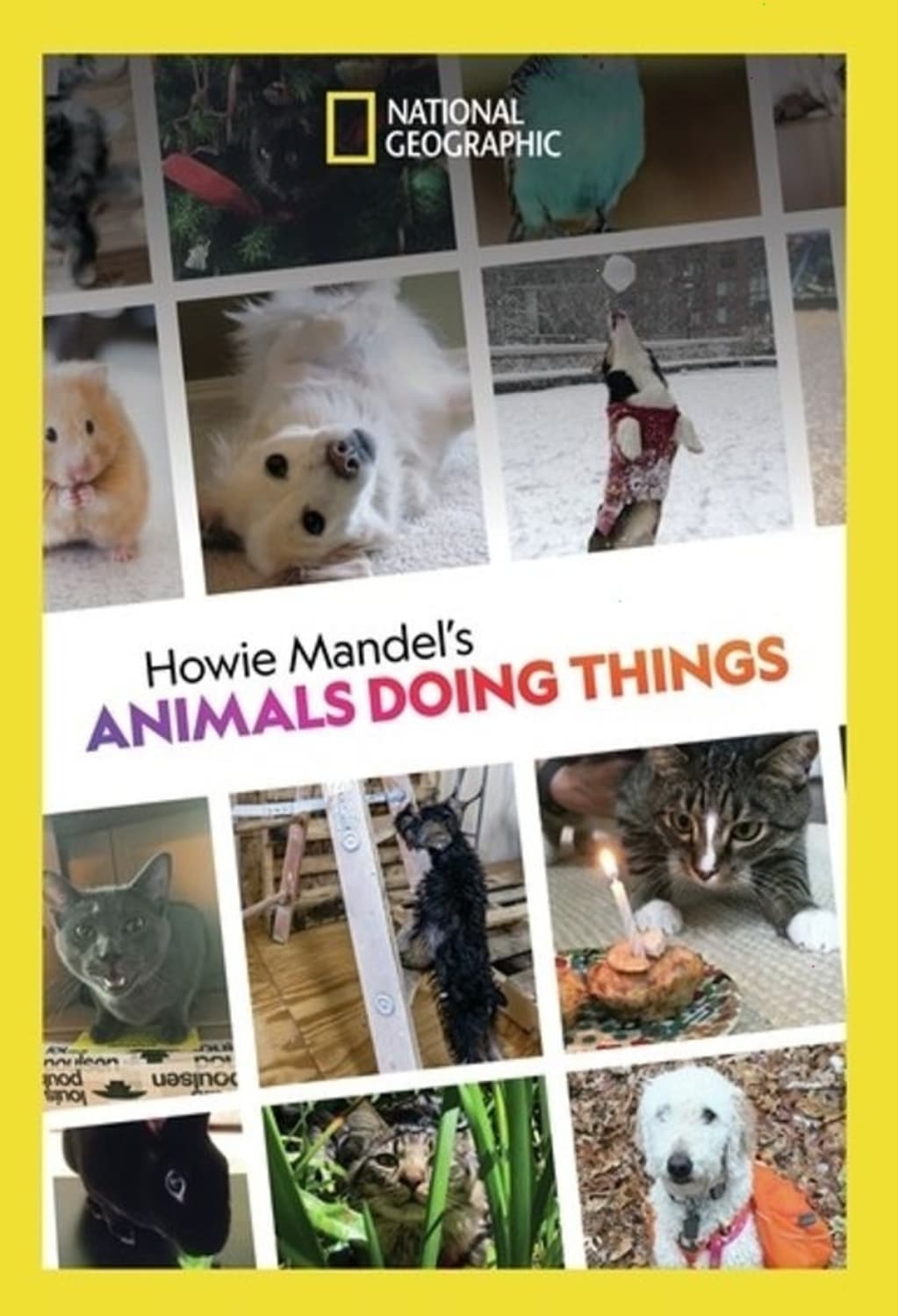 Howie Mandel's Animals Doing Things - (2 Pack, Dolby, AC-3, Widescreen) - [DVD]