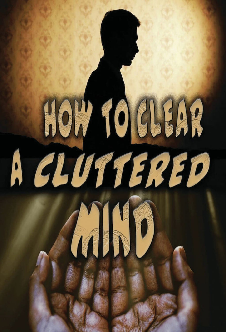 How To Clear A Cluttered Mind - [DVD]