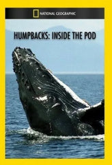 Humpbacks: Inside the Pod - (NTSC Format) - [DVD]
