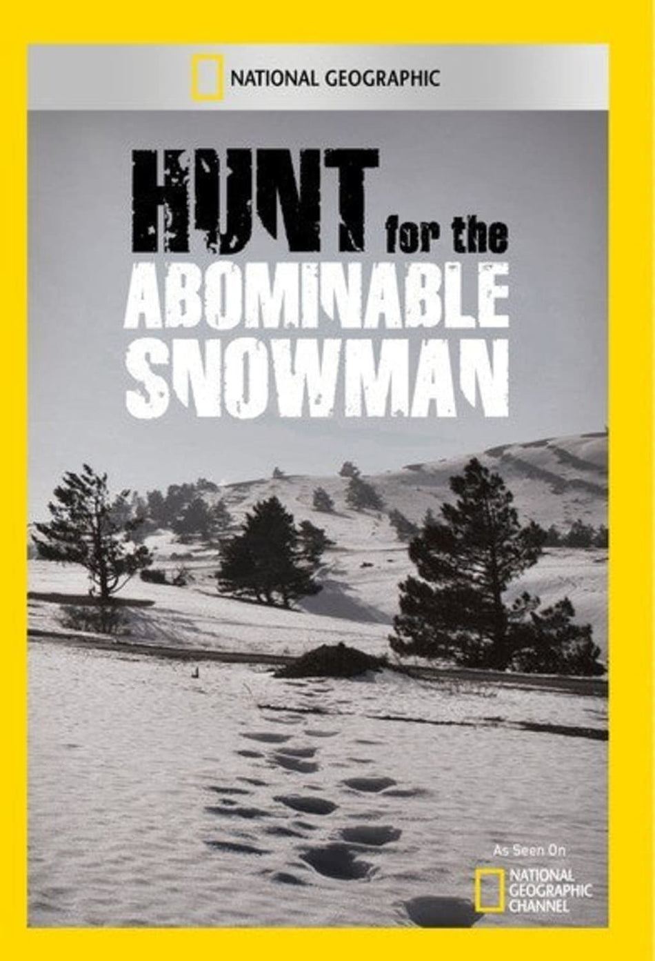 Hunt for the Abominable Snow - (NTSC Format) - [DVD]