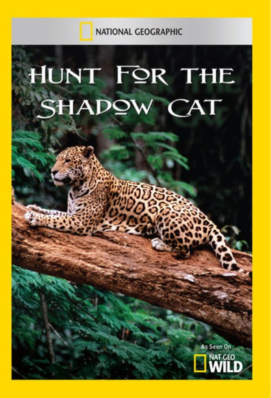 Hunt for the Shadow Cat - [DVD]