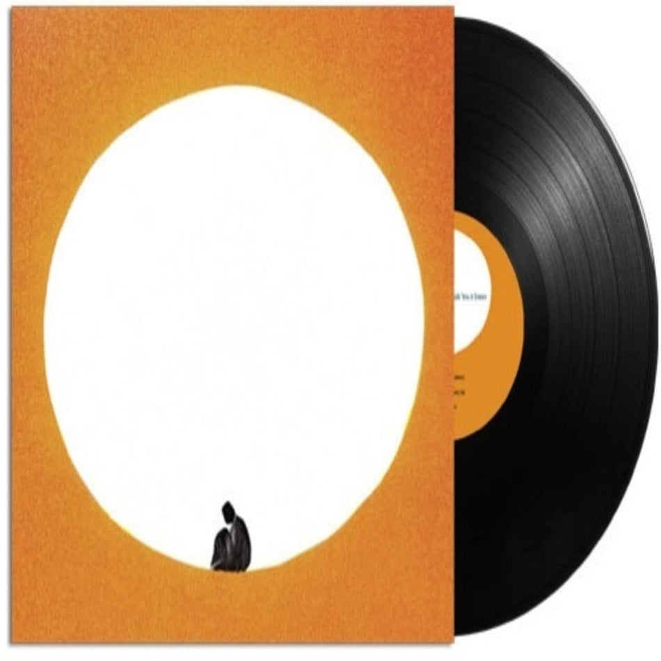 Death Cab for Cutie - I Built You A Tower - [Vinyl]