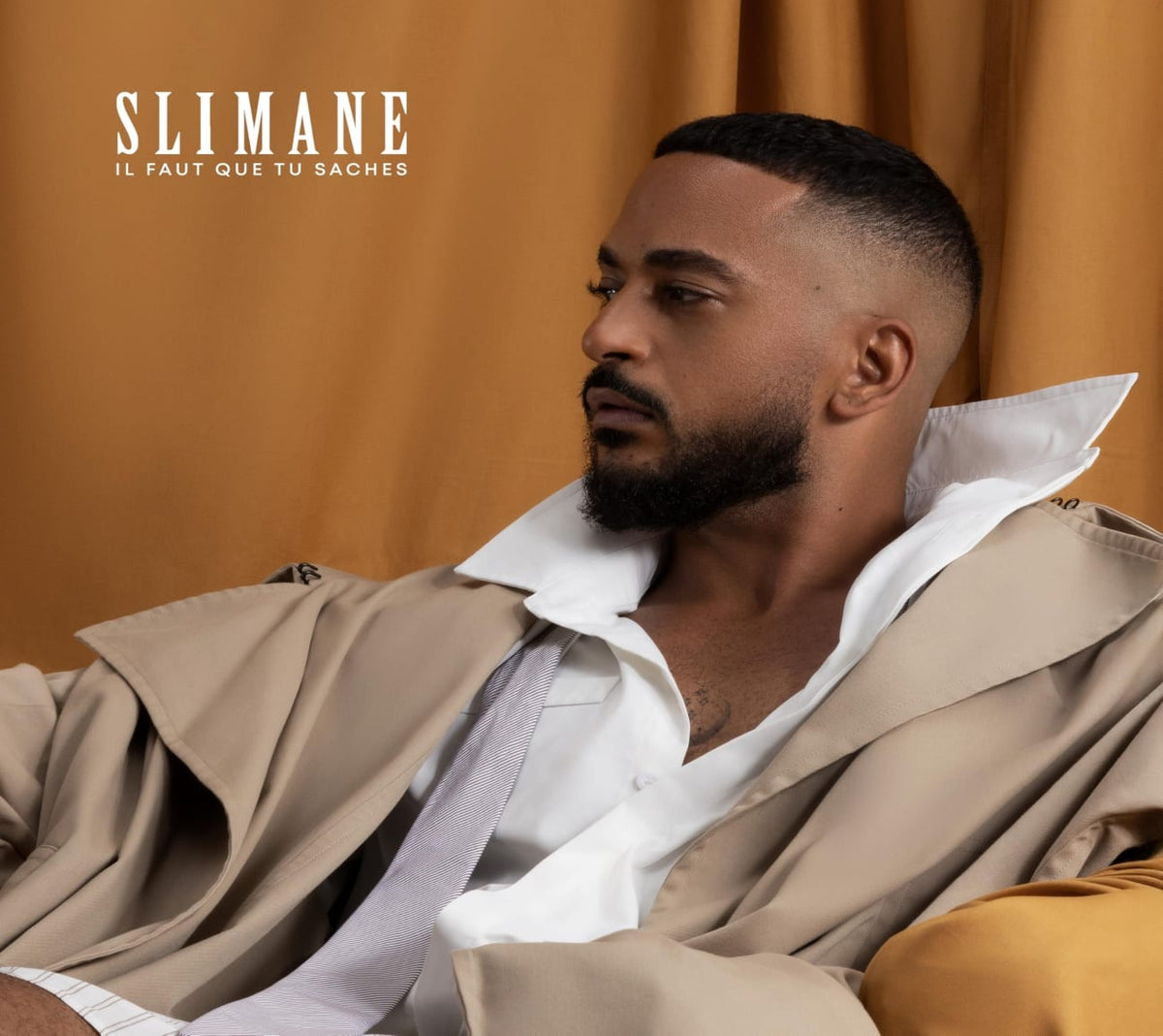 SLIMANE - IL FAUT QUE TU SACHES - [CD]