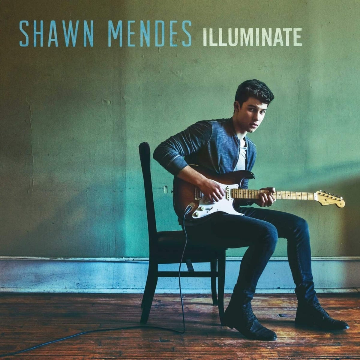 Shawn Mendes - Illuminate - [Vinyl]