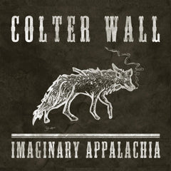 Colter Wall - Imaginary Appalachia - (Colored Vinyl, Red) - [Vinyl]