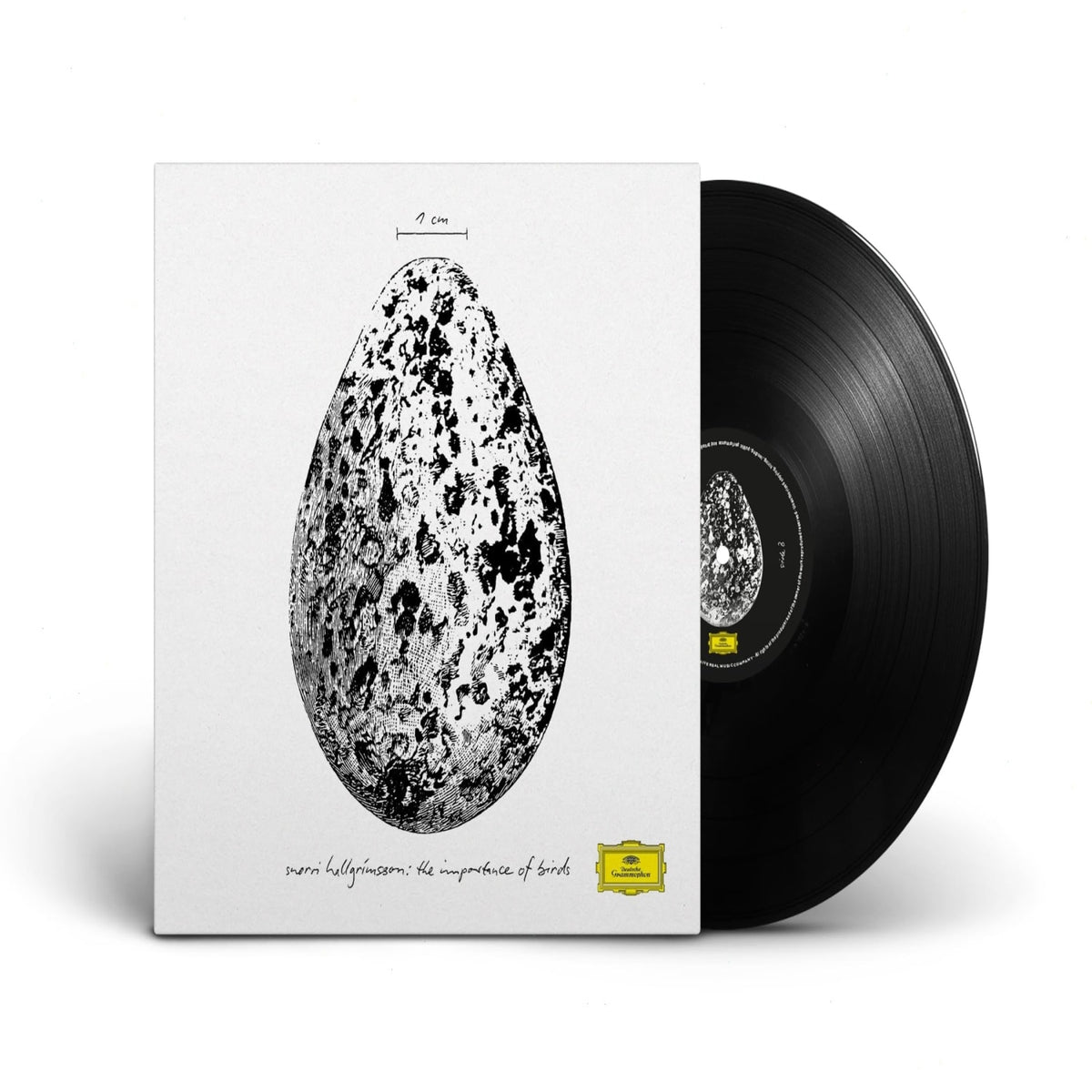 Snorri Hallgrmmsson - Importance of Birds - [Vinyl]
