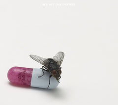 Red Hot Chili Peppers - I'm with You - [CD]