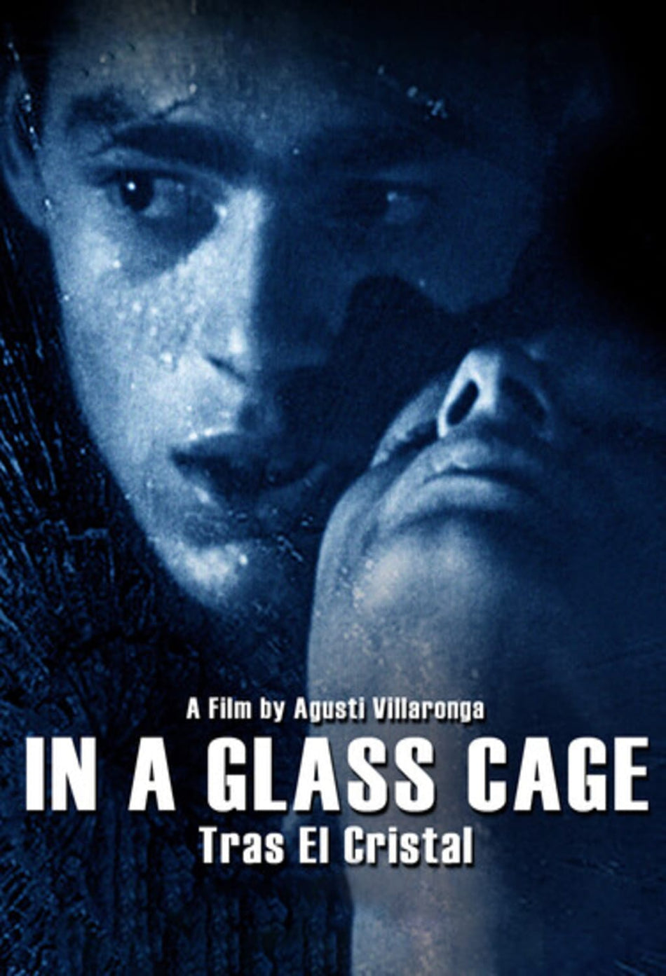 In a Glass Cage - (Special Edition, Subtitled, Widescreen) - [DVD]