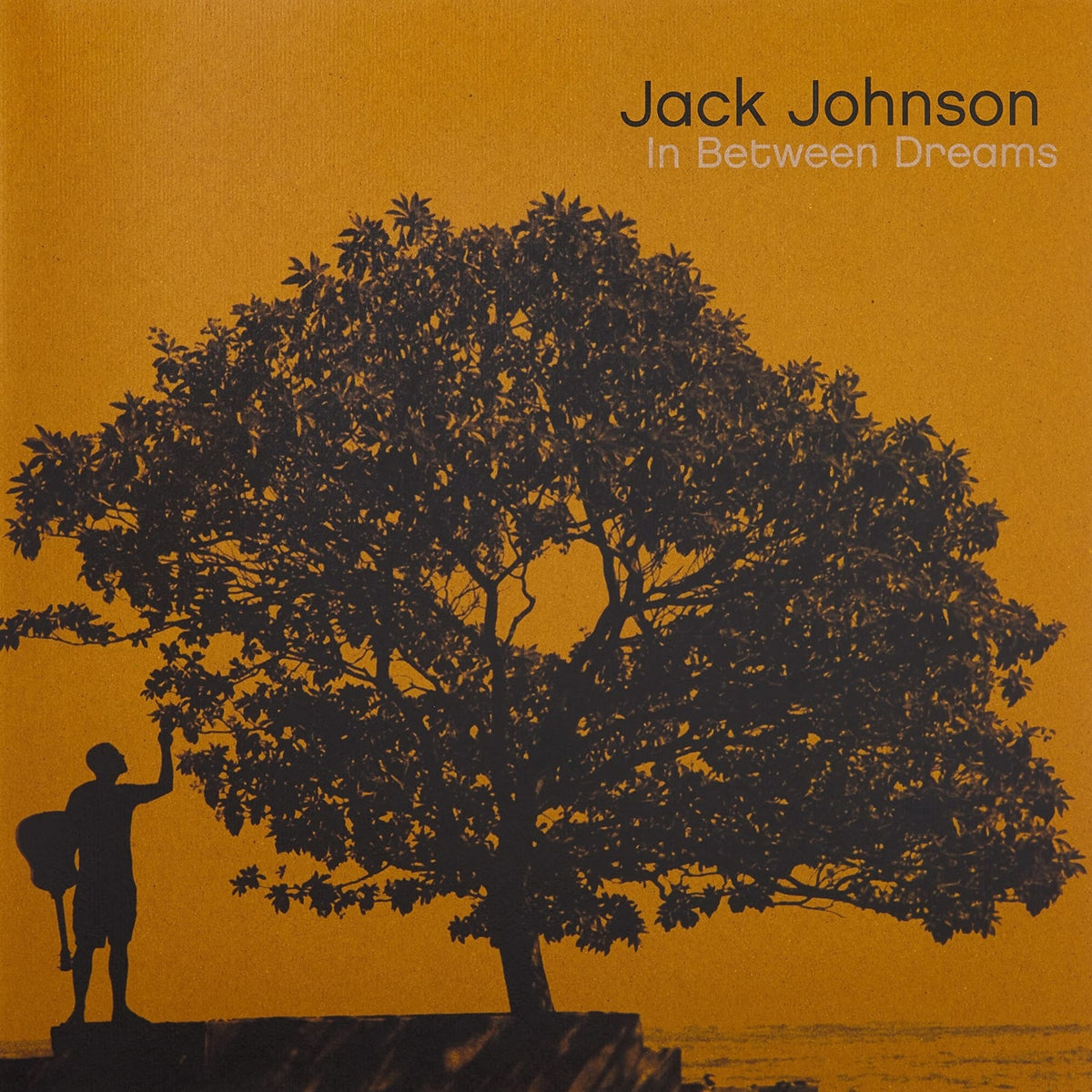 Jack Johnson - In Between Dreams - [Vinyl]