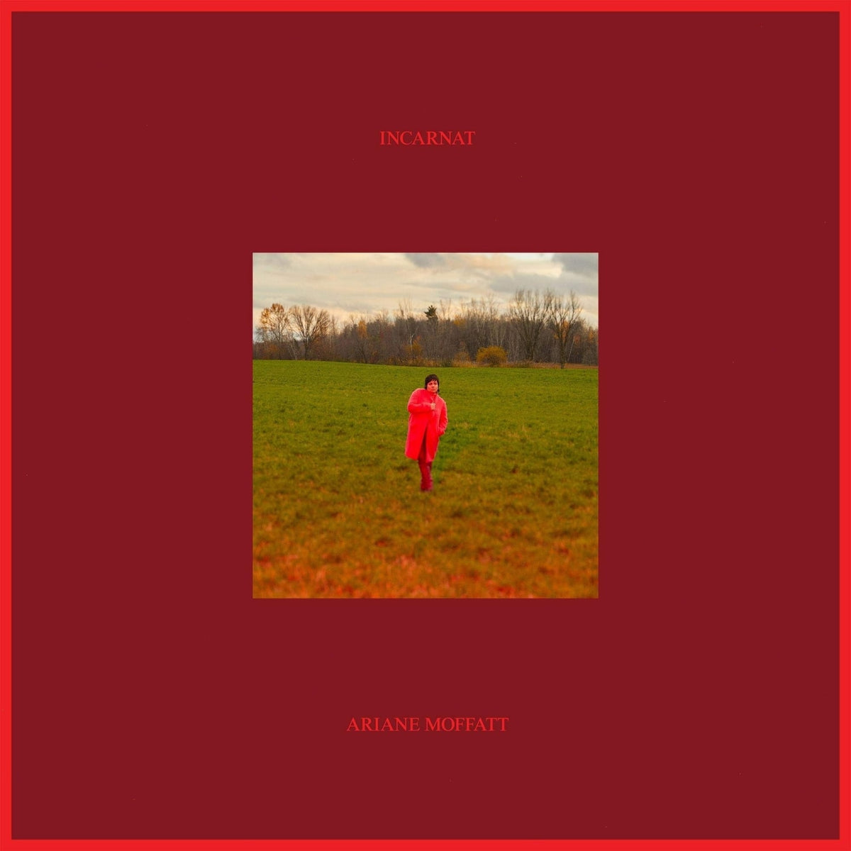 Ariane Moffatt - Incarnat - [Vinyl]
