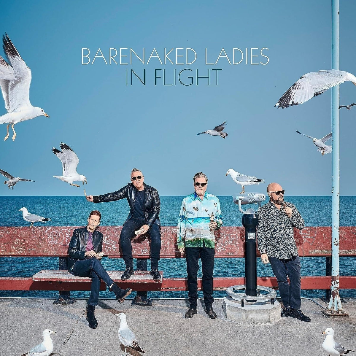 Barenaked Ladies - In Flight - [Vinyl]