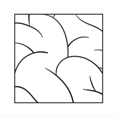 Intellexual - Intellexual - [Vinyl]
