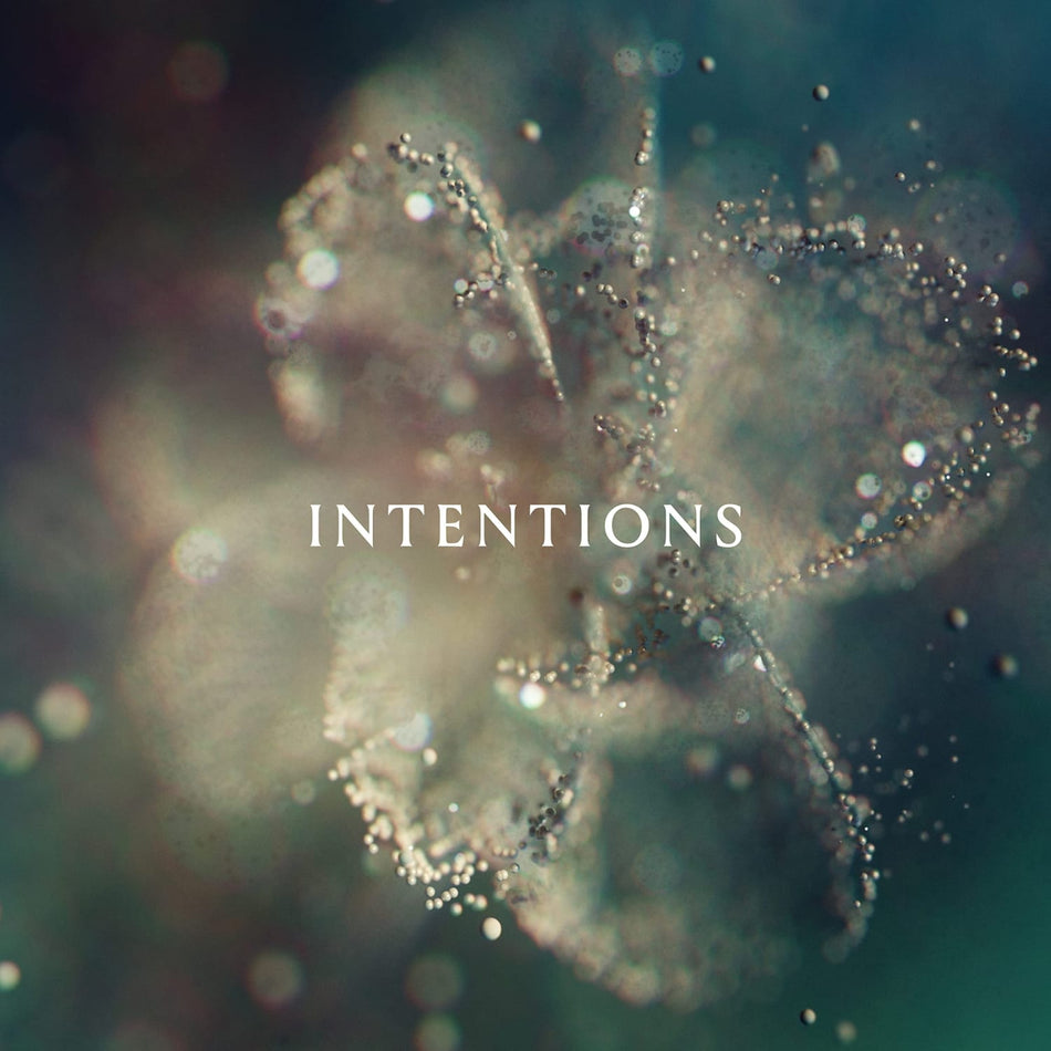 Anna - Intentions - [Vinyl]