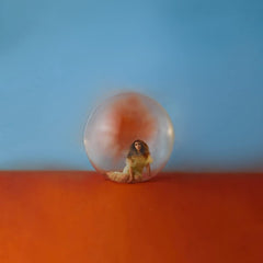 Alessia Cara - In The Meantime - [Vinyl]