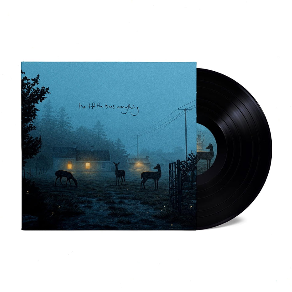 Dermot Kennedy - I've Told The Trees Everything - [Vinyl]