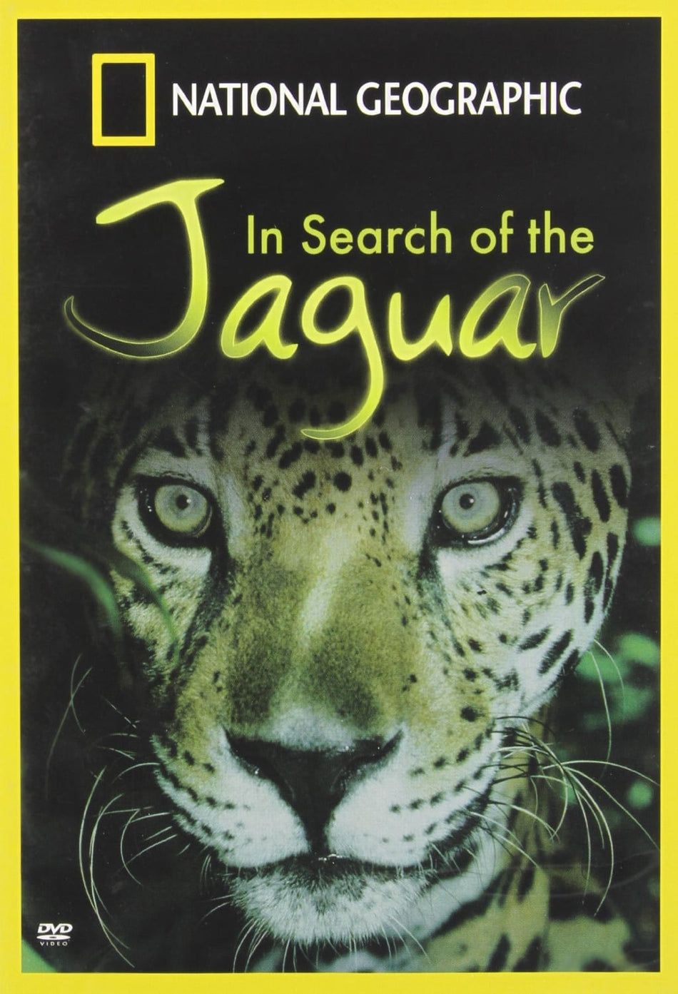 In Search Of The Jaguar - [DVD]