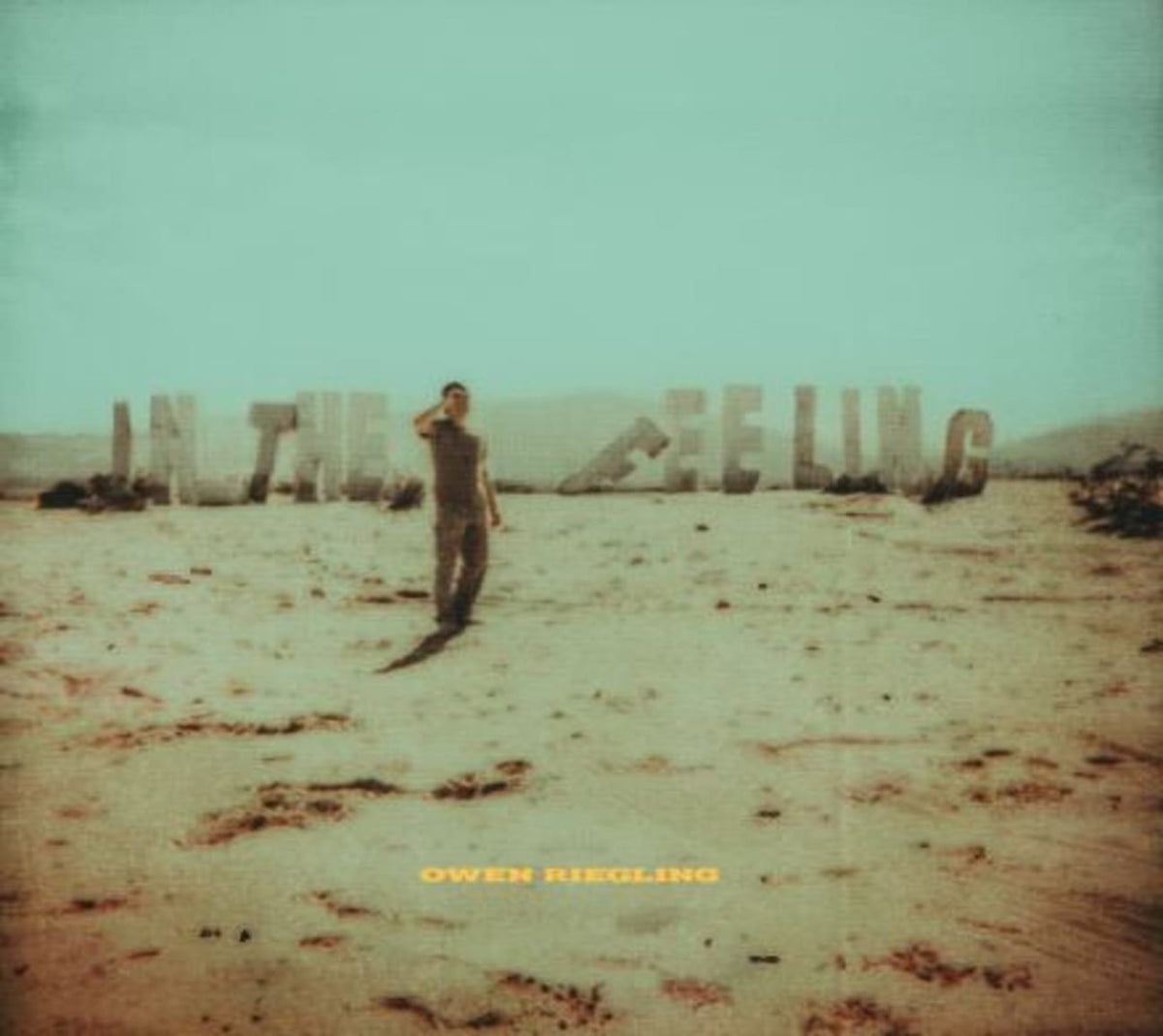 Owen Riegling - In The Feeling - [CD]