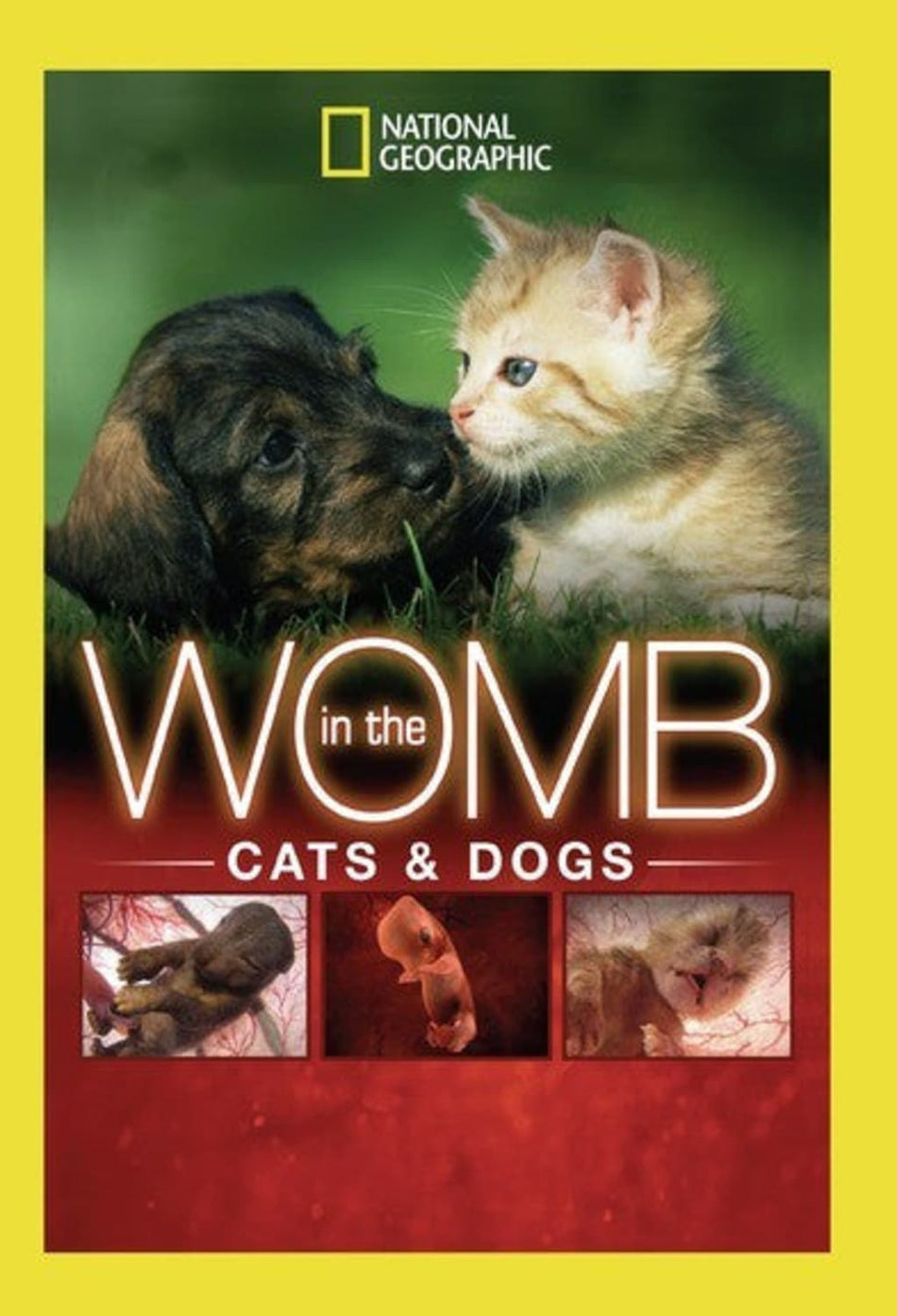 In the Womb: Cats and Dogs - [DVD]