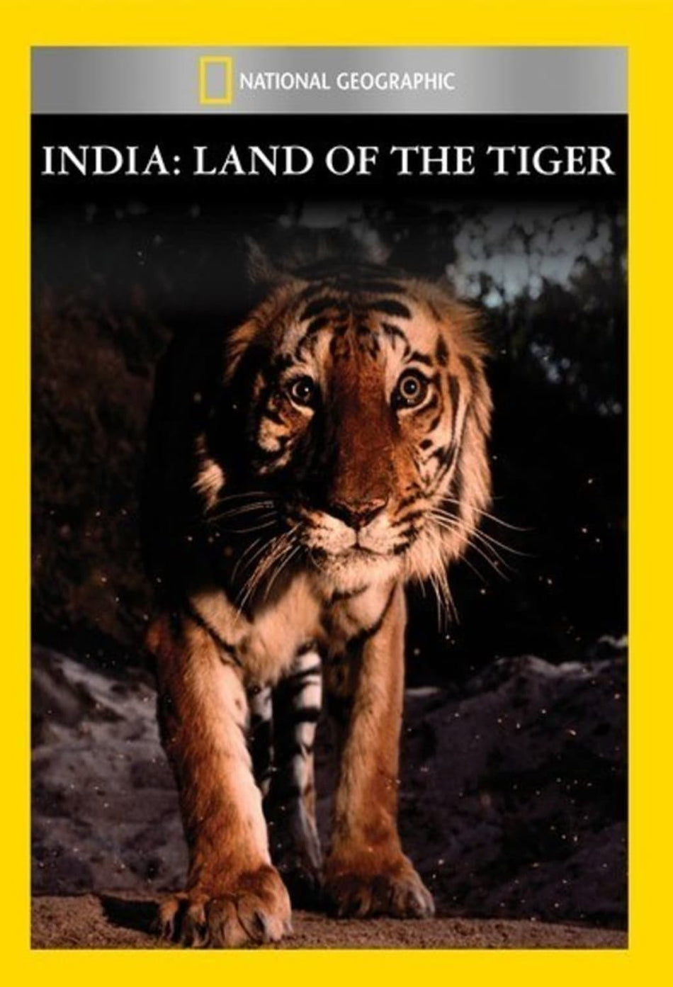 India: Land of the Tiger - (NTSC Format) - [DVD]