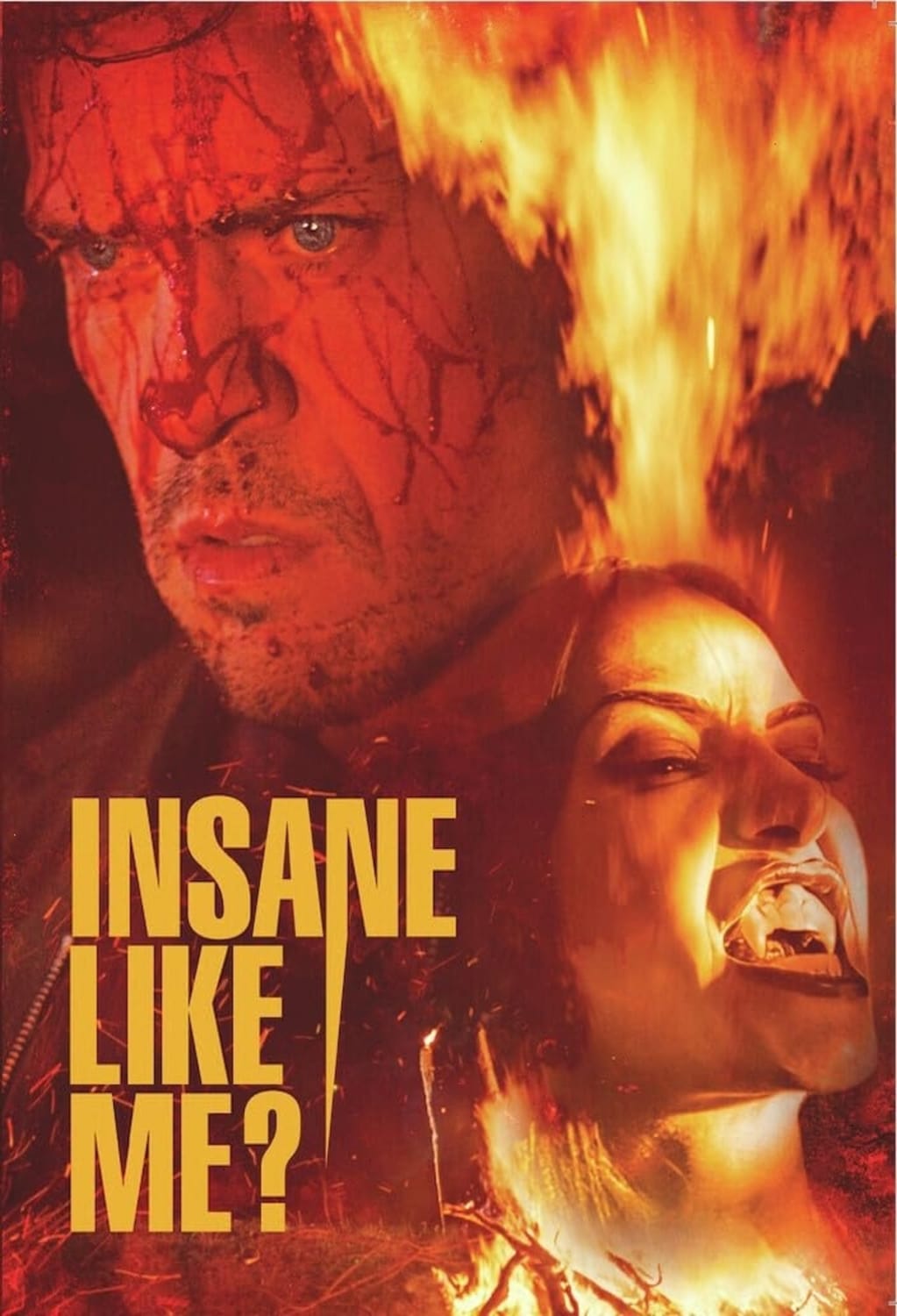 Insane Like Me? - (Dolby, AC-3) - [DVD]