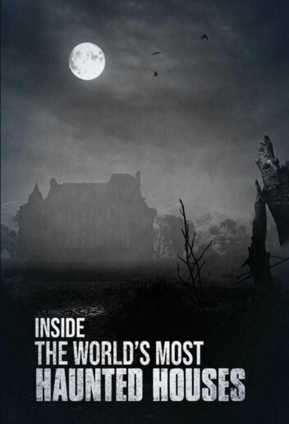Inside the World's Most Haunted Houses - [DVD]