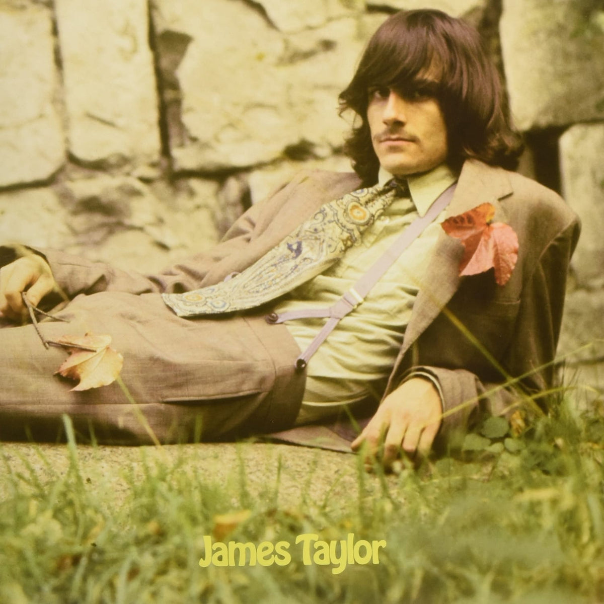 James Taylor - James Taylor - [Vinyl]
