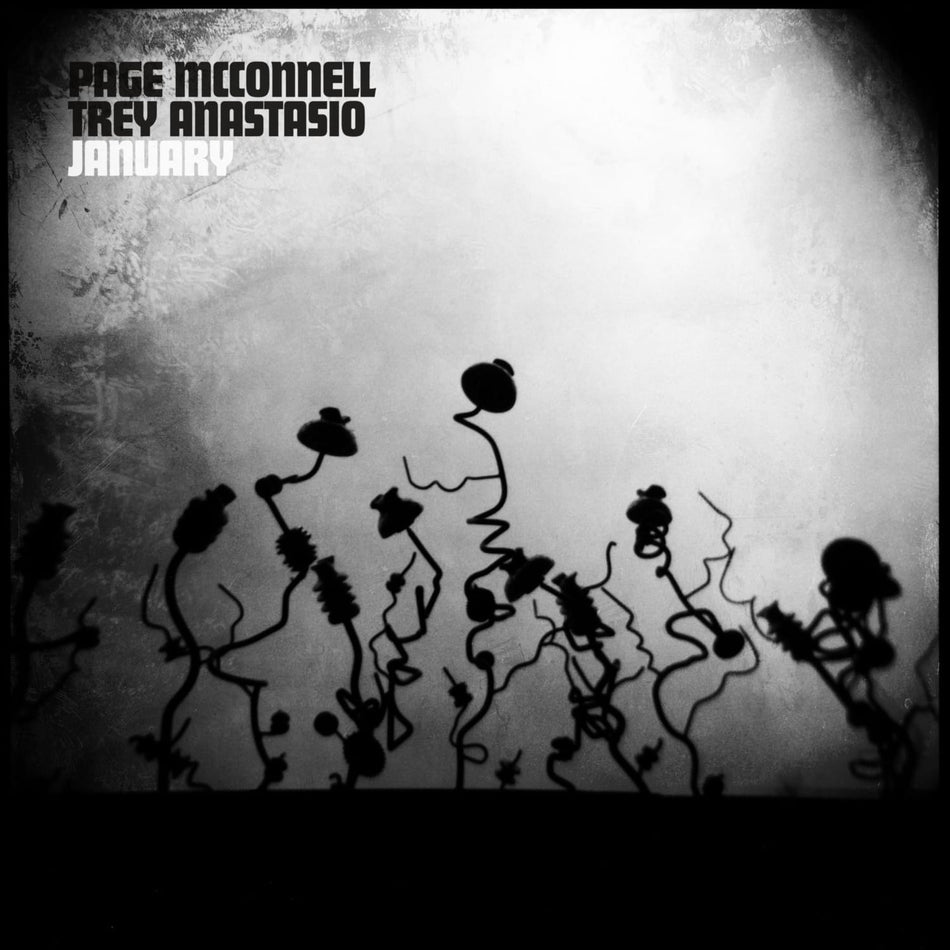 Page McConnell & Trey Anastasio - January - [Vinyl]