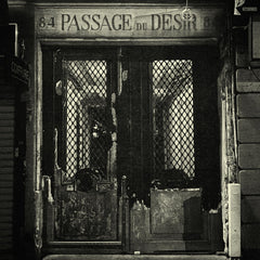 Johnny Blue Skies - Passage Du Desir - [Vinyl]