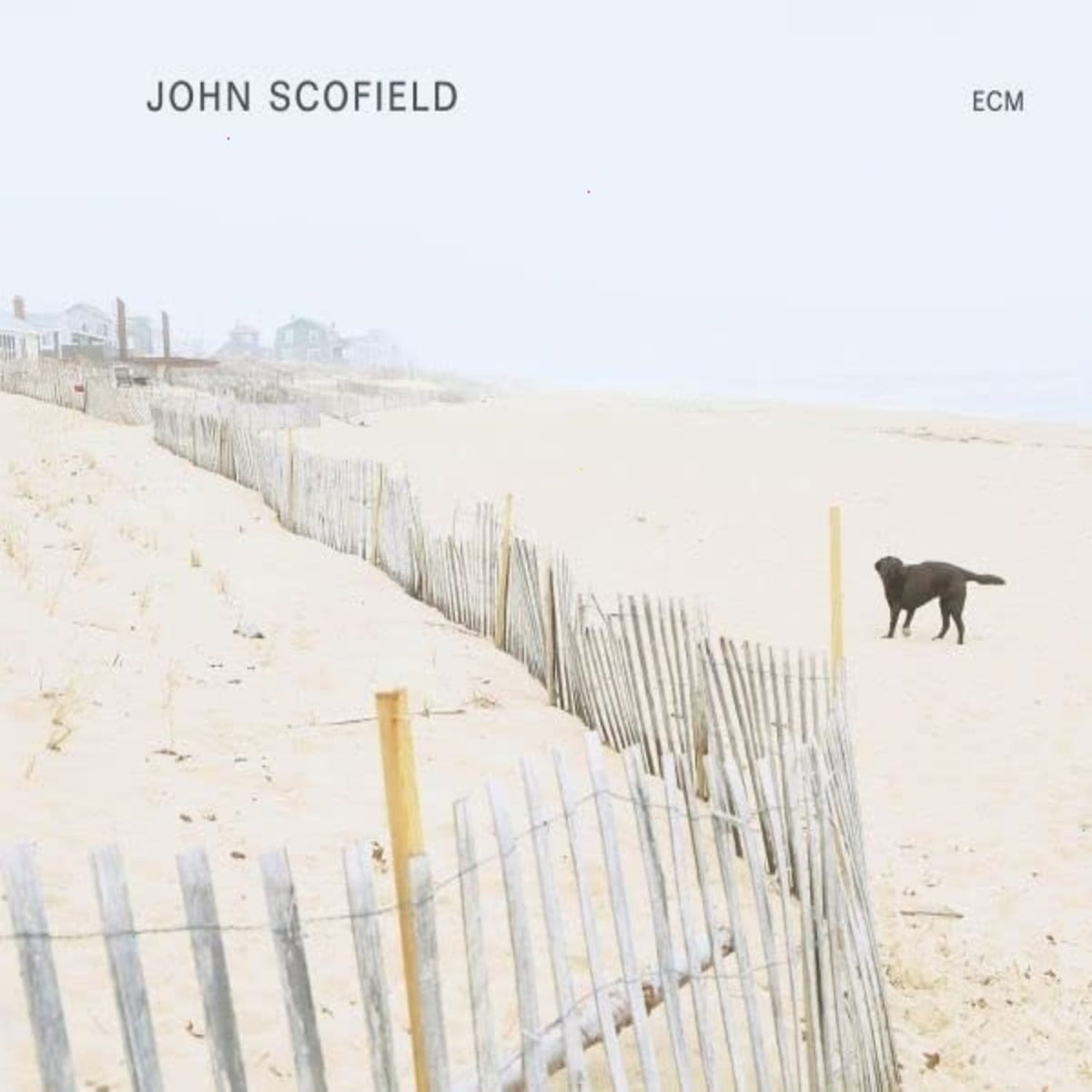 John Scofield - John Scofield - [Vinyl]