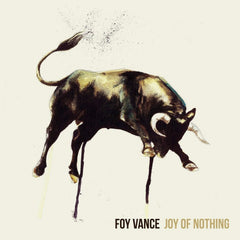 Foy Vance - Joy Of Nothing - [Vinyl]
