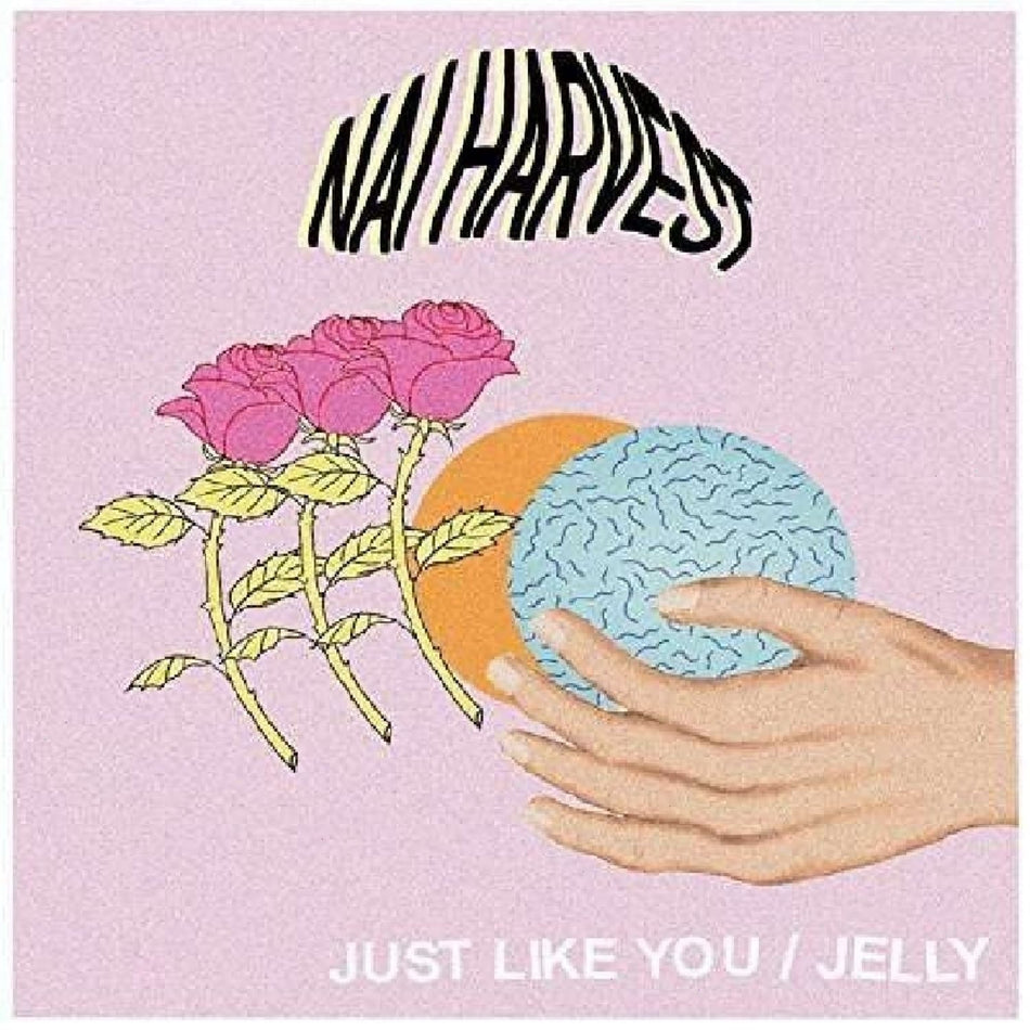 Nai Harvest - Just Like You - [Vinyl]
