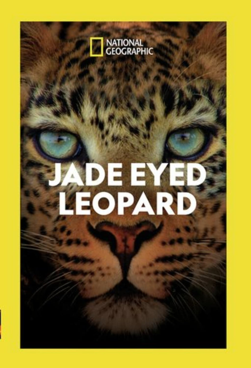 Jade Eyed Leopard - (Dolby, AC-3, Widescreen) - [DVD]