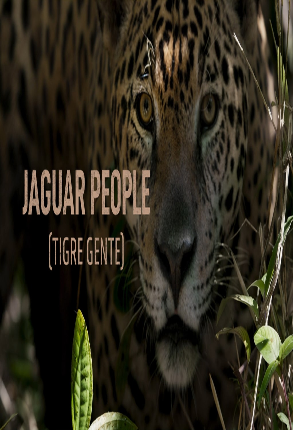 Jaguar People (Tigre Gente) - [DVD]