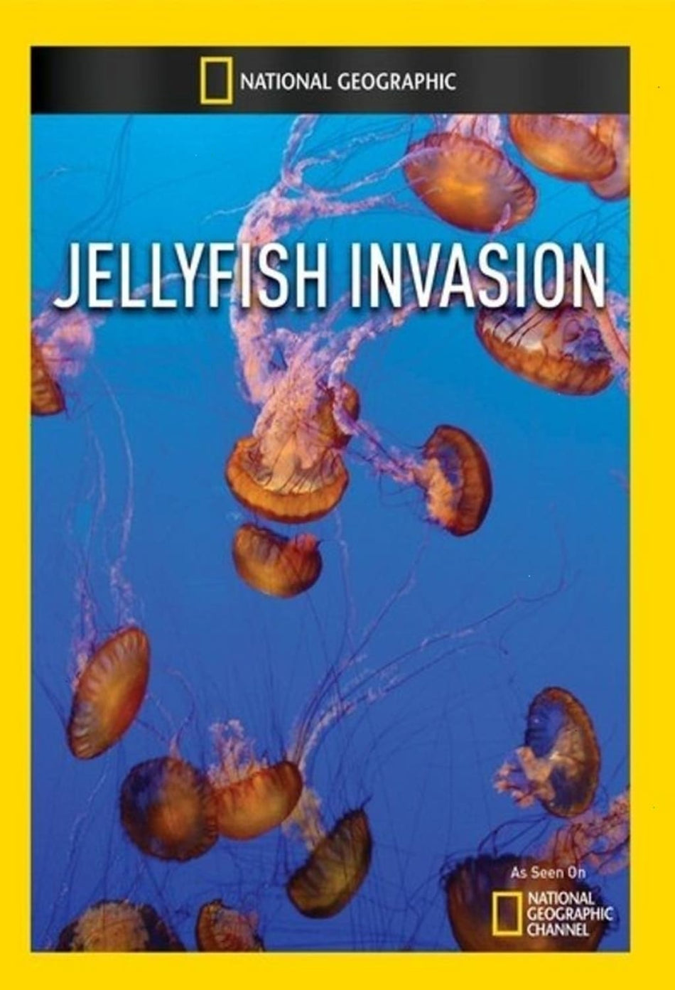 Jellyfish Invasion - (NTSC Format) - [DVD]