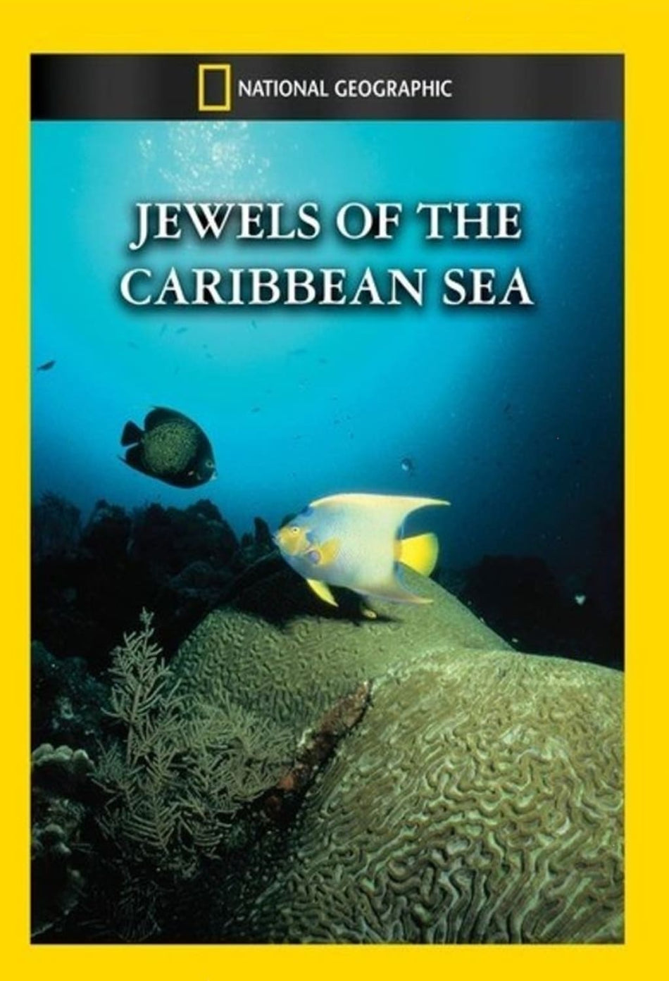 Jewels of the Caribbean Sea - (NTSC Format) - [DVD]
