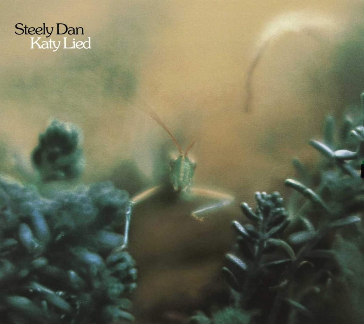Steely Dan - Katy Lied (remastered) - [CD]