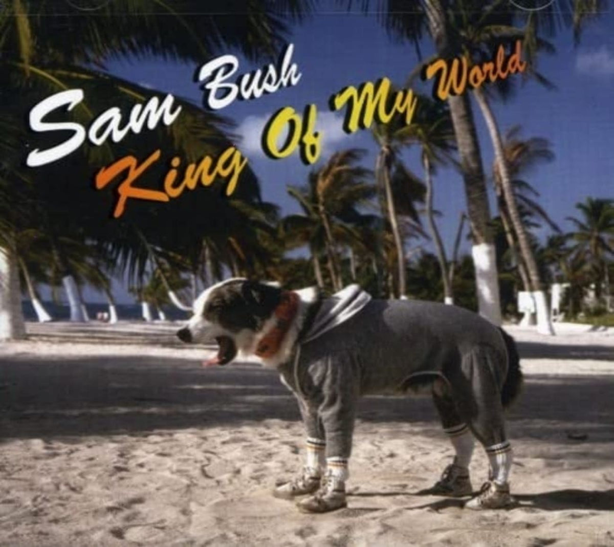 Sam Bush - King of My World - [CD]
