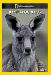Kangaroo Kaos - (NTSC Format) - [DVD]