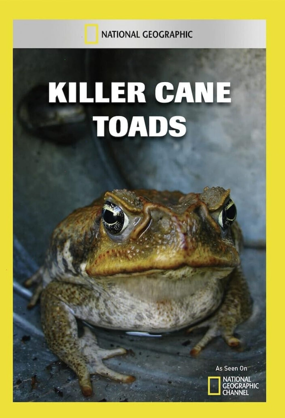 Killer Cane Toads - (NTSC Format) - [DVD]