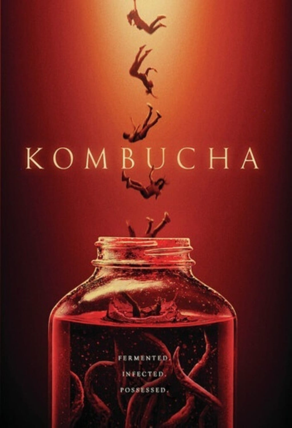 Kombucha - (Dolby, AC-3) - [DVD]