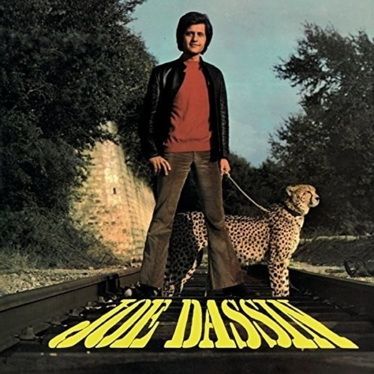 Joe Dassin - La Fleur Aux Dents - [Vinyl]