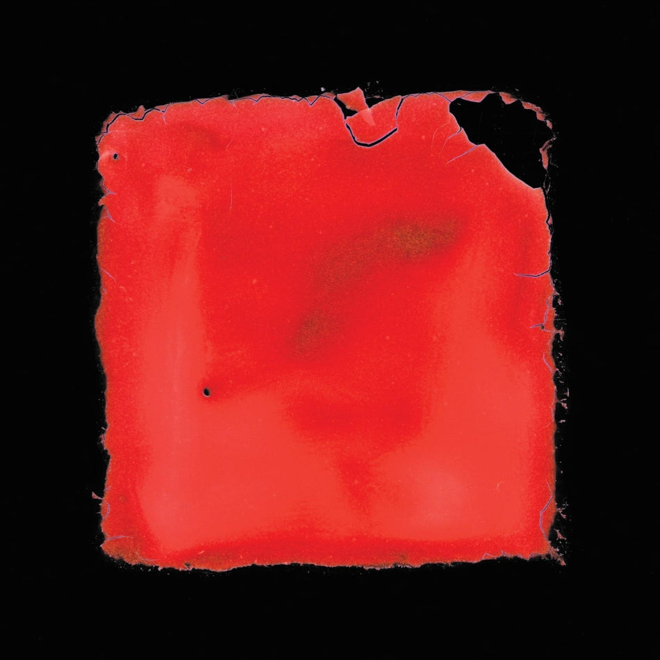 Salvia Palth - Last Chance To See - [Vinyl]