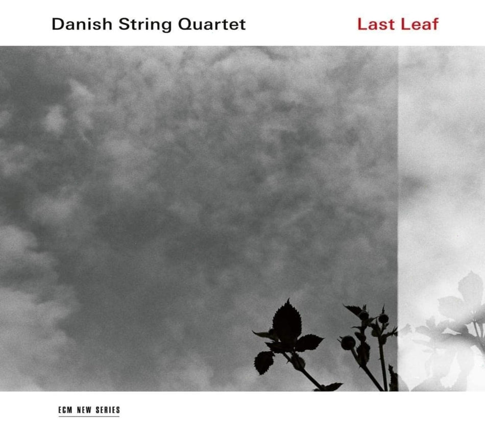 Danish String Quartet - Last Leaf - [CD]