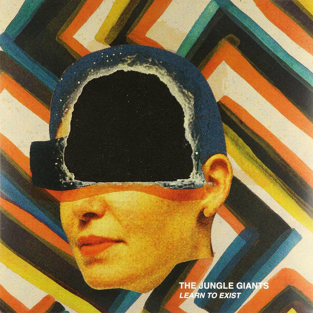 Jungle Giants - Learn to Exist - [Vinyl]
