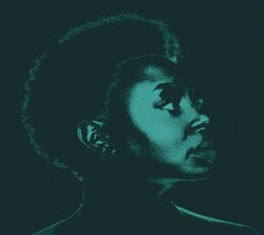 Ledisi - Ledisi Sings Nina - [CD]